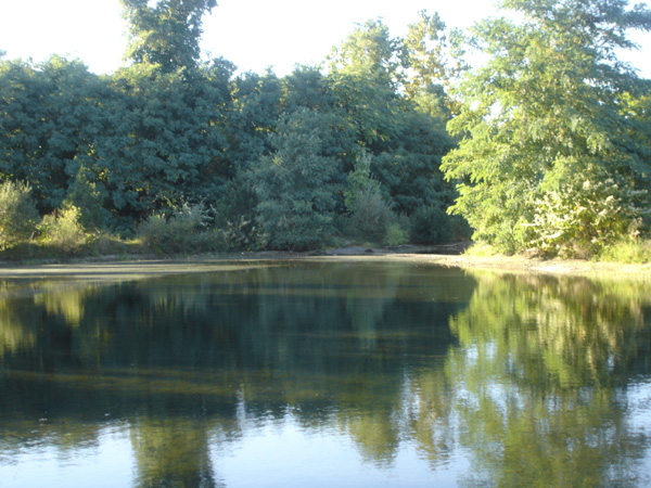 DSC00205