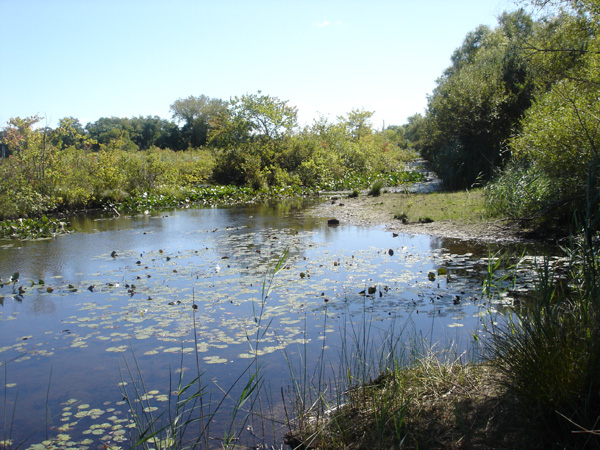 DSC00229