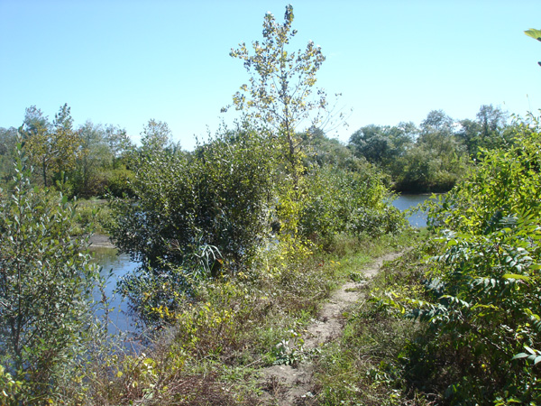DSC00238