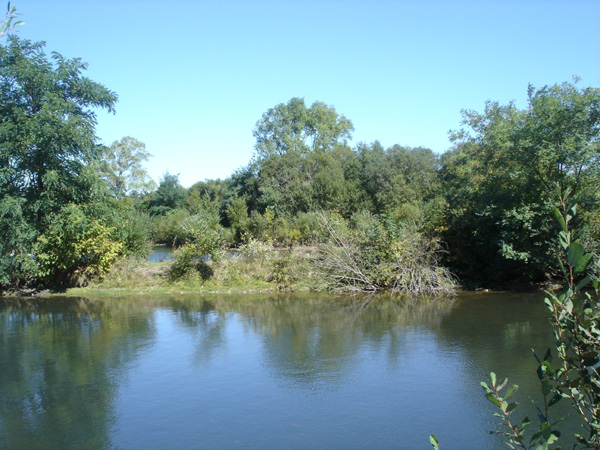 DSC00239