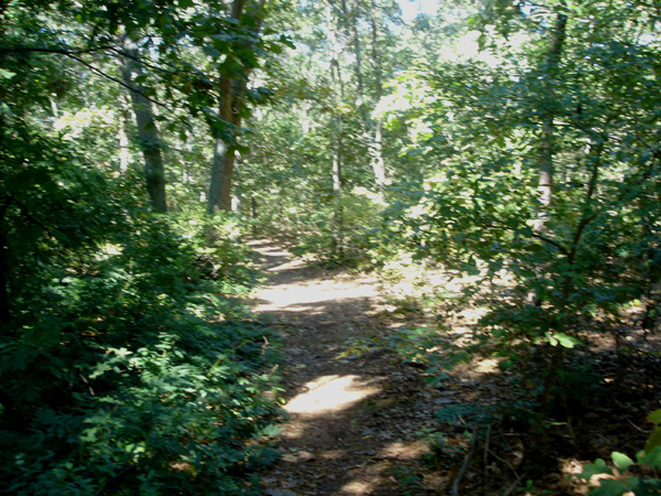 DSC00249