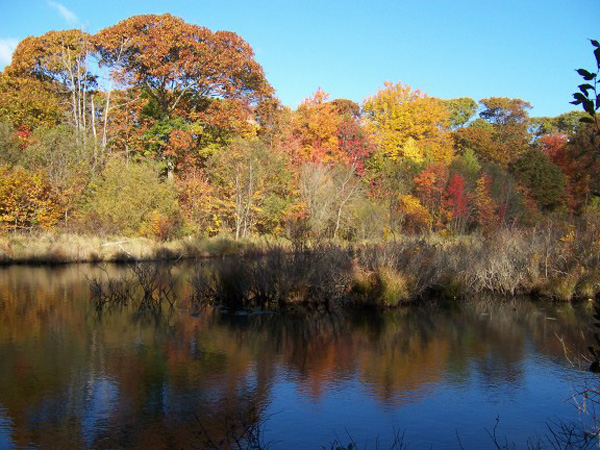 fall 6  10-26-04