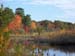 fall 10-04   2