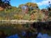 fall 10-18-04    7