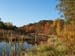 fall 12  10-26-04