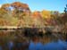fall 6  10-26-04