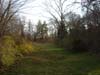 2wsc east walk