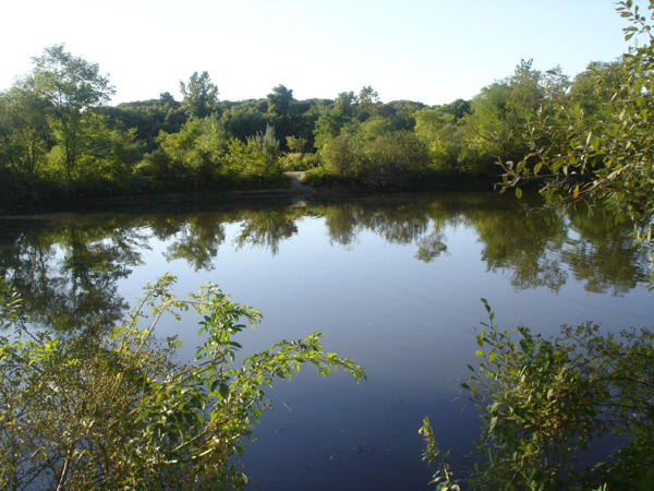 DSC00195