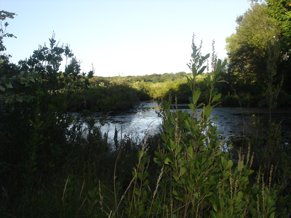 DSC00210