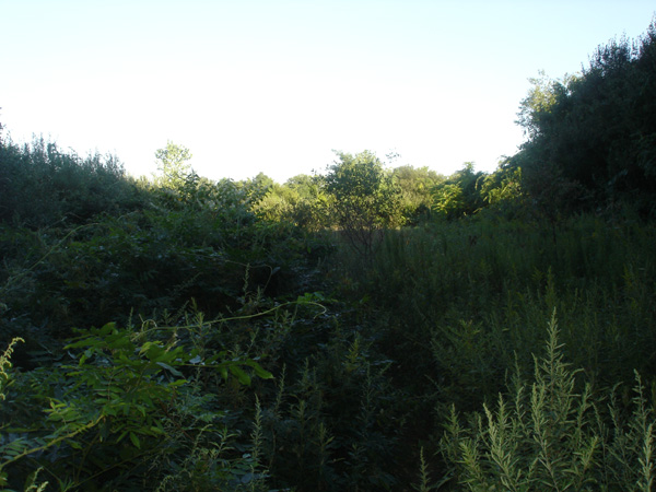 DSC00212