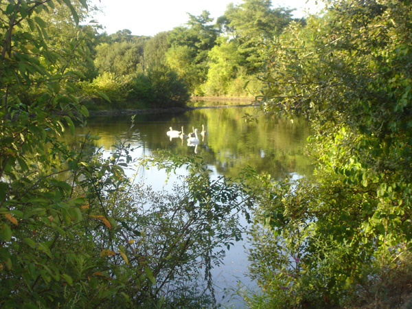 DSC00216