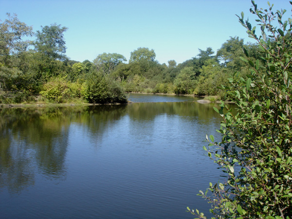DSC00218
