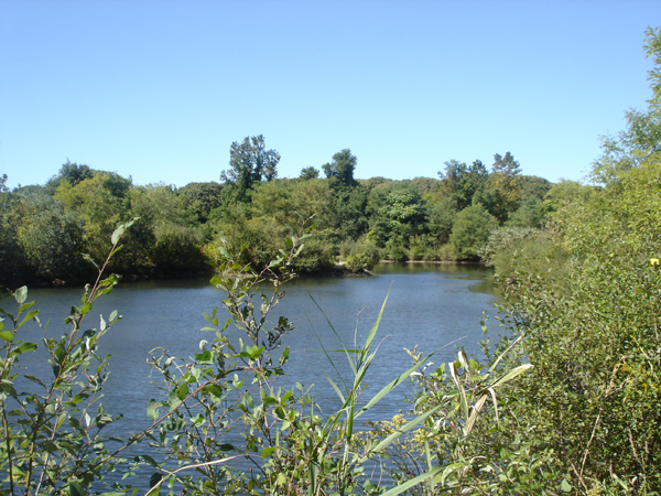 DSC00221