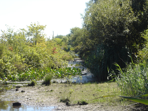 DSC00226
