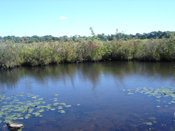 DSC00228