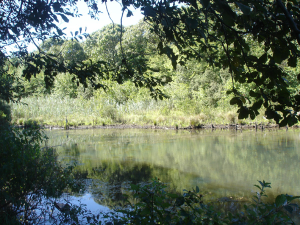DSC00232