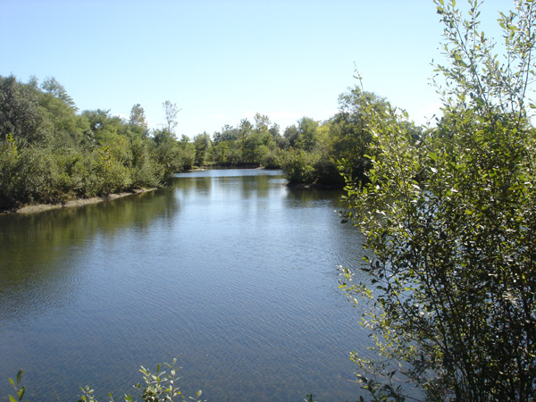 DSC00234