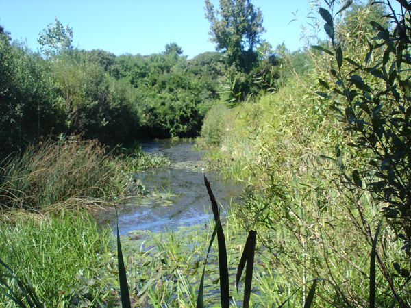 DSC00240