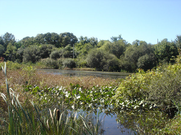 DSC00245