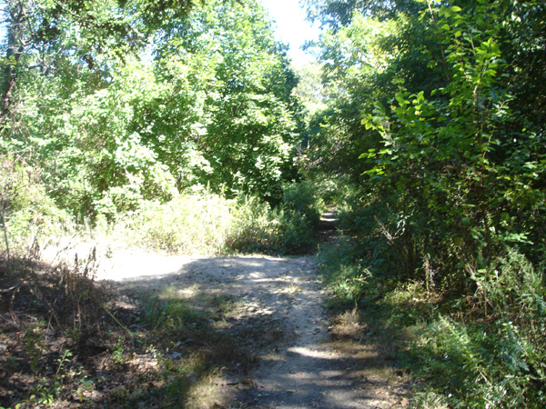 DSC00256