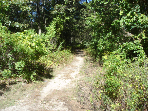 DSC00257