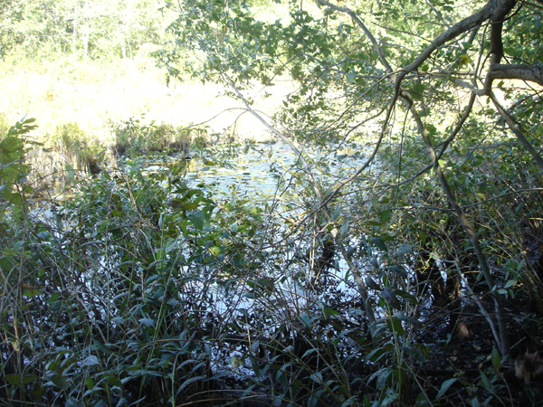 DSC00263