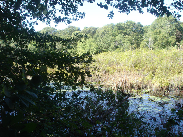 DSC00265