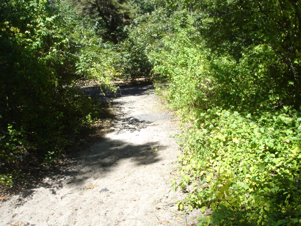 DSC00267