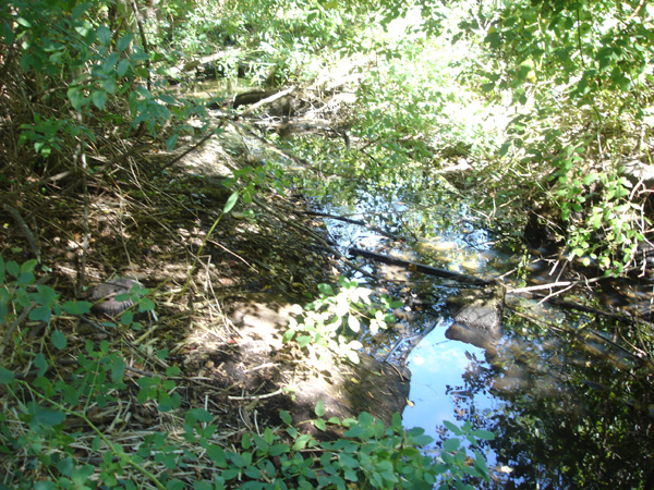 DSC00271
