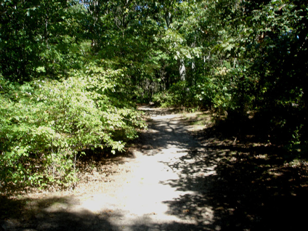 DSC00272