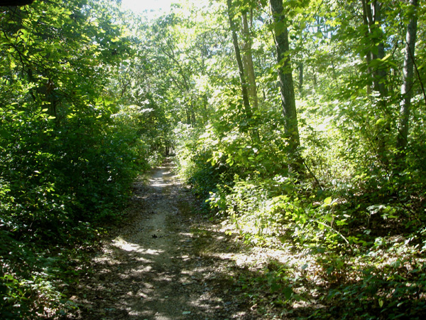 DSC00276