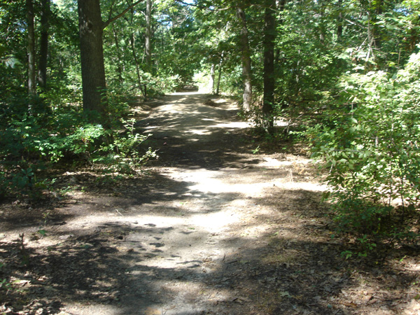 DSC00283