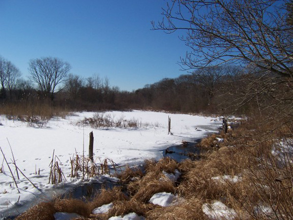 marsh  2   2-2-05