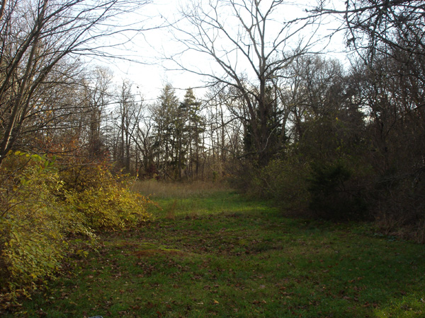 2wsc east walk