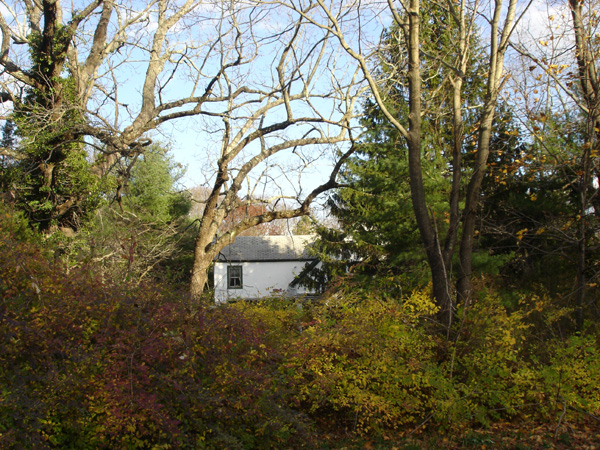 2wsc east walk2